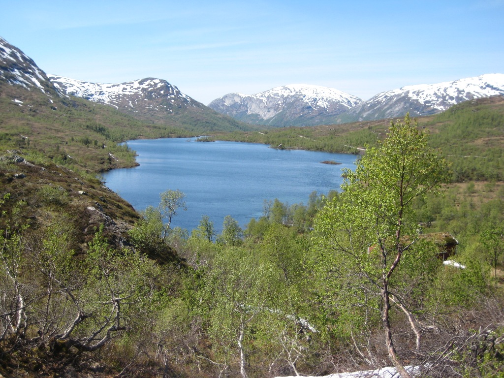 Holmevatnet